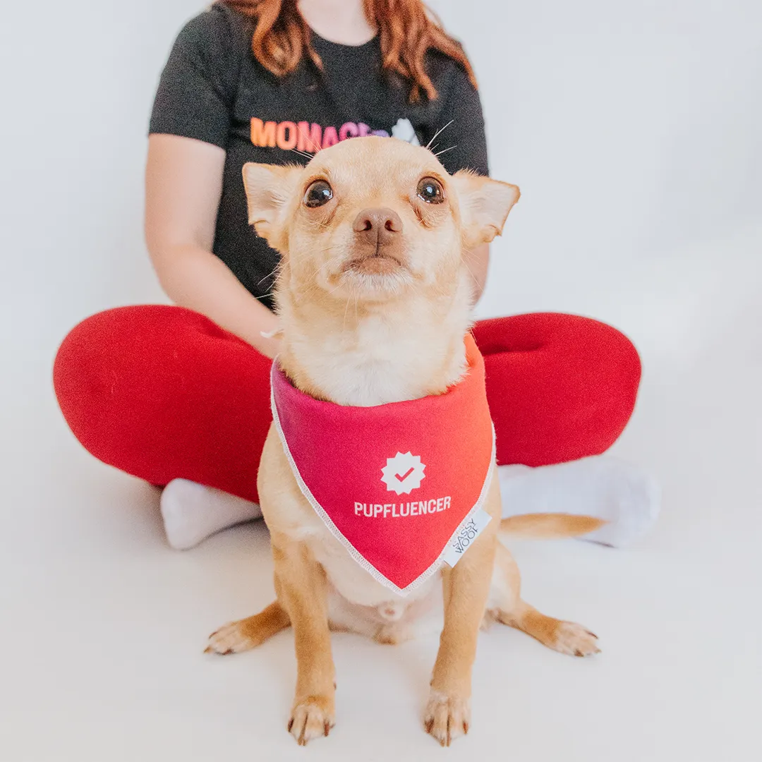 Dog Bandana - Pupfluencer