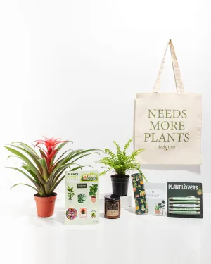 Ultimate Care Package: Pet Friendly Plants